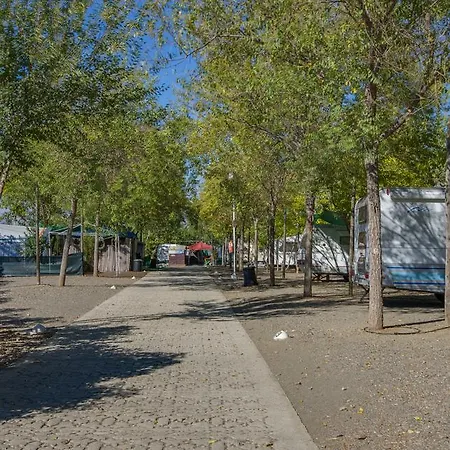 Camping Iznate